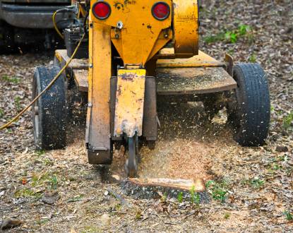STUMP GRINDING