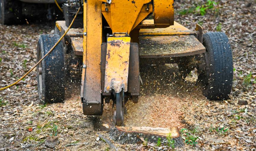 Koc Stump Grinding