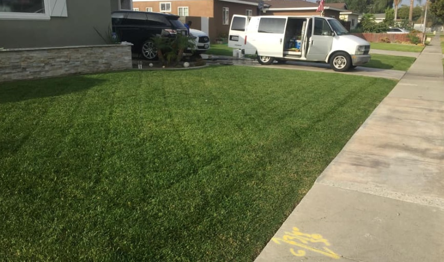 Sanchez Gardening and Landscaping