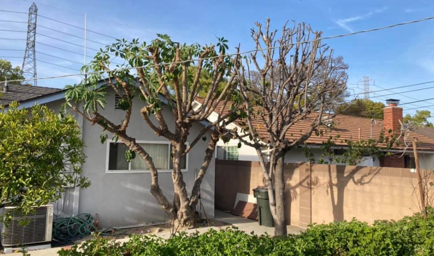 Sanchez Gardening and Landscaping