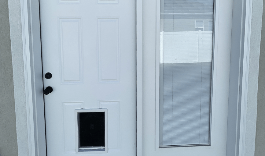 Next Level Carpentry