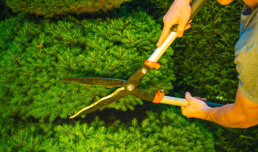 Tidewater Green Environmental Services