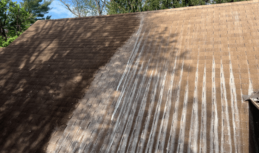 Rise Up Pressure Washing Pros 