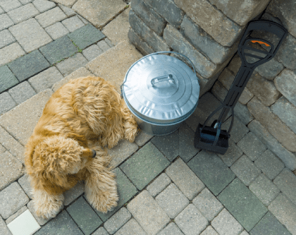 POOPER SCOOPER SERVICES