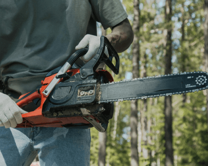 BRANCH REMOVAL SERVICES