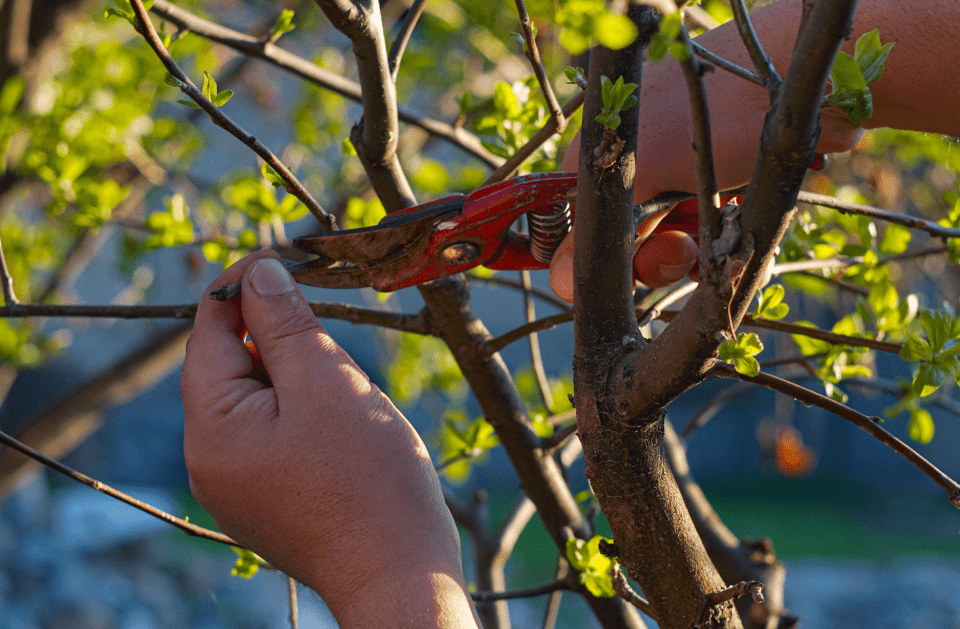 Stepp Landscaping An Cleaning