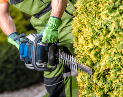 HEDGE TRIMMING SERVICE