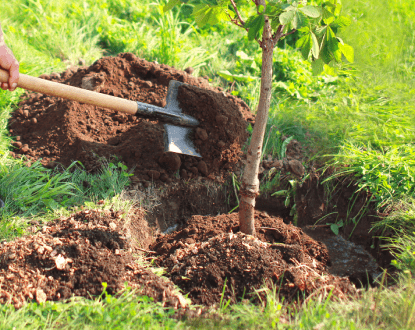 LANDSCAPING SERVICES