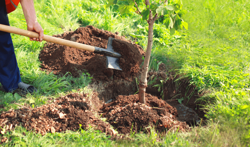 Upstate All Around Services