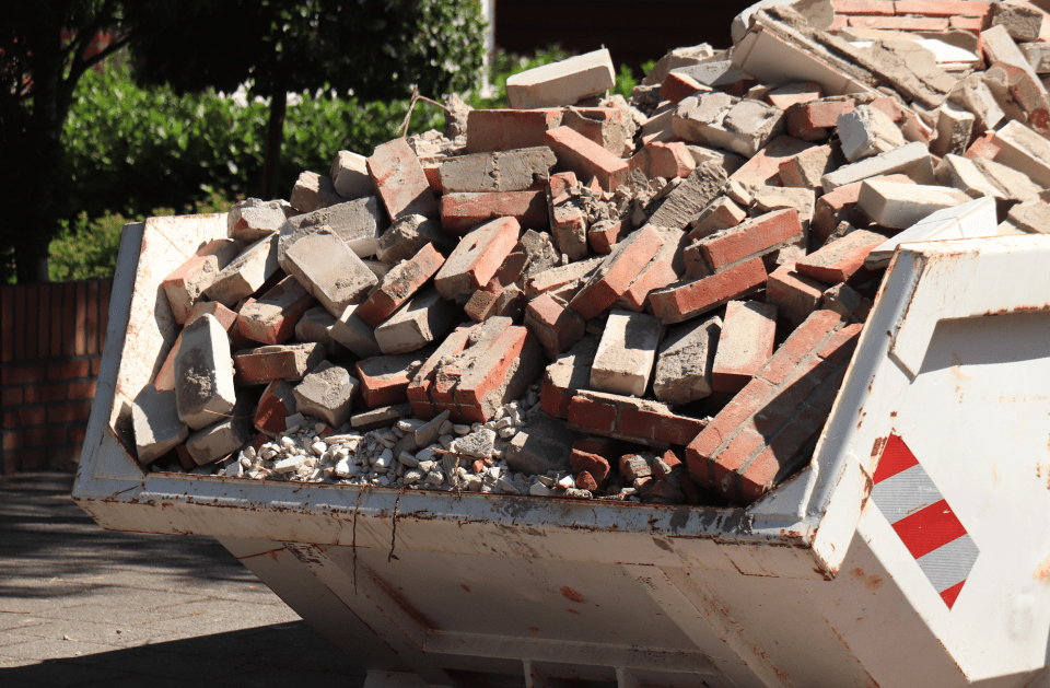 Squeaky Clean Living