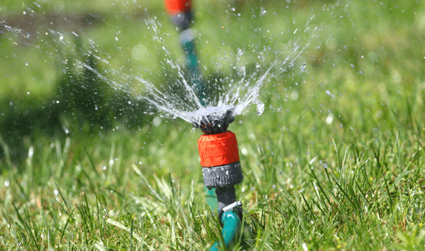 Apache Plume Landscaping