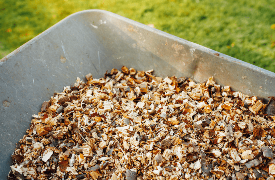 DV & B Express Services