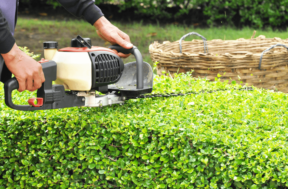 DV & B Express Services