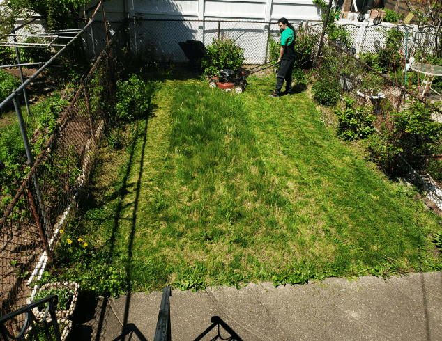 DV & B Express Services