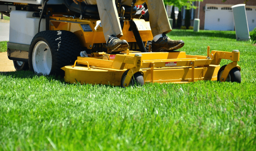 Martinez Lawn Care Services