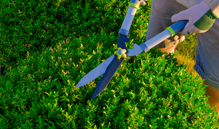 Martinez Lawn Care Services