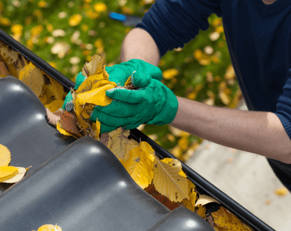 GUTTER CLEANING SERVICES