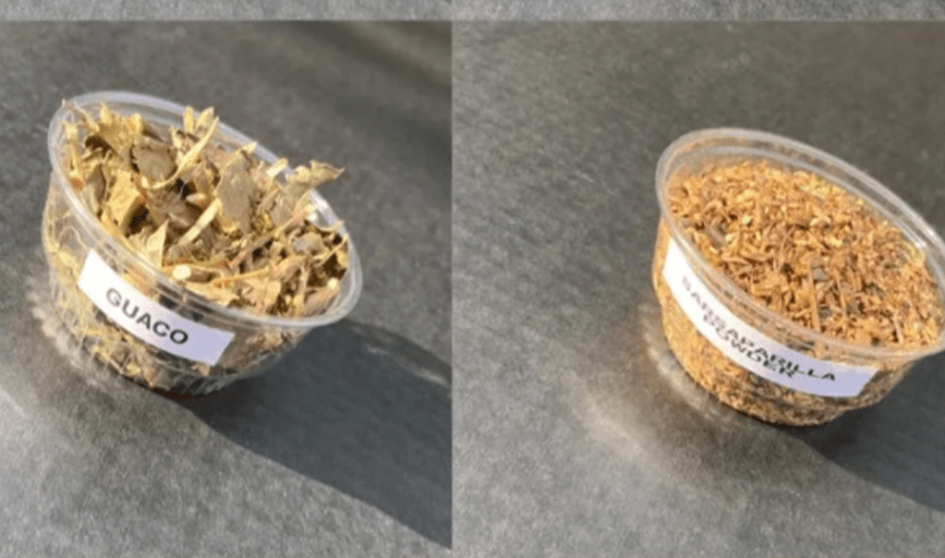 SmoothGinger Smoothie & Juice Bar