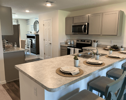 HOUSE CLEANING SERVICE