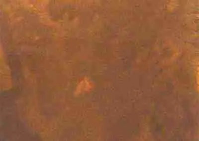 Antique Brown On White