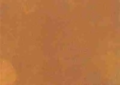 Antique Umber On White