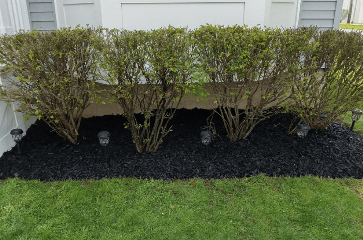 Swift Chores Services