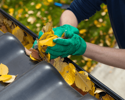 GUTTER CLEANING