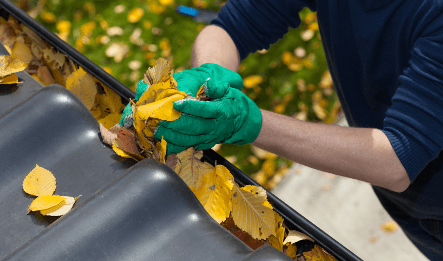  Elite Gutter Solutions