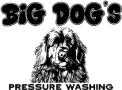 Big Dog's Pressure Washing