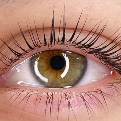 LASH LIFT SERVICES