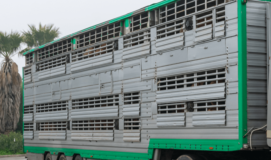 Turnage Trailer Repair and Restoration