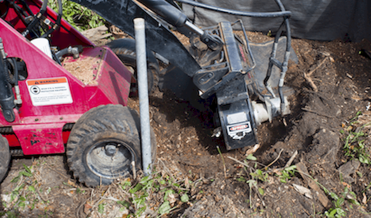 Red's Tree Service and Firewood