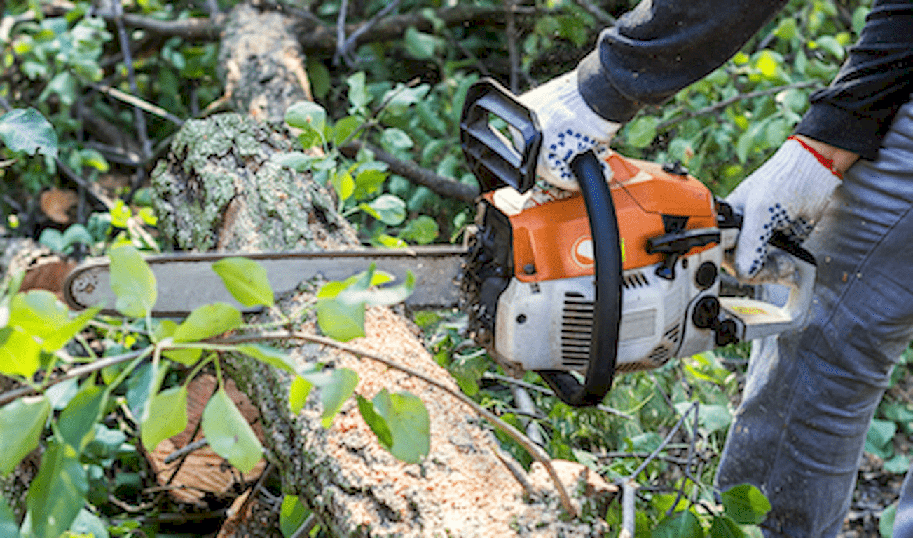 Red's Tree Service and Firewood