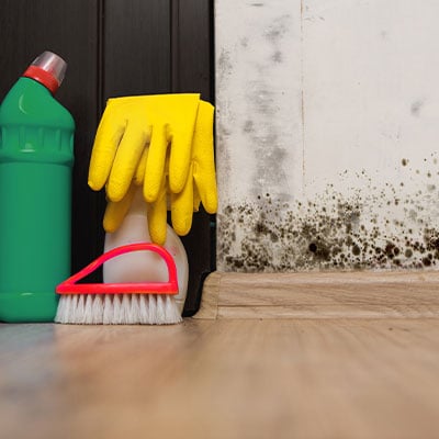 Mold And Mildew Treatment