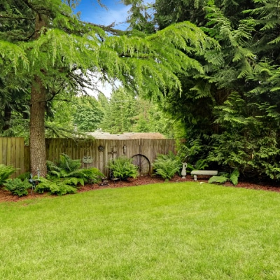 DOG YARD CLEANING SERVICES