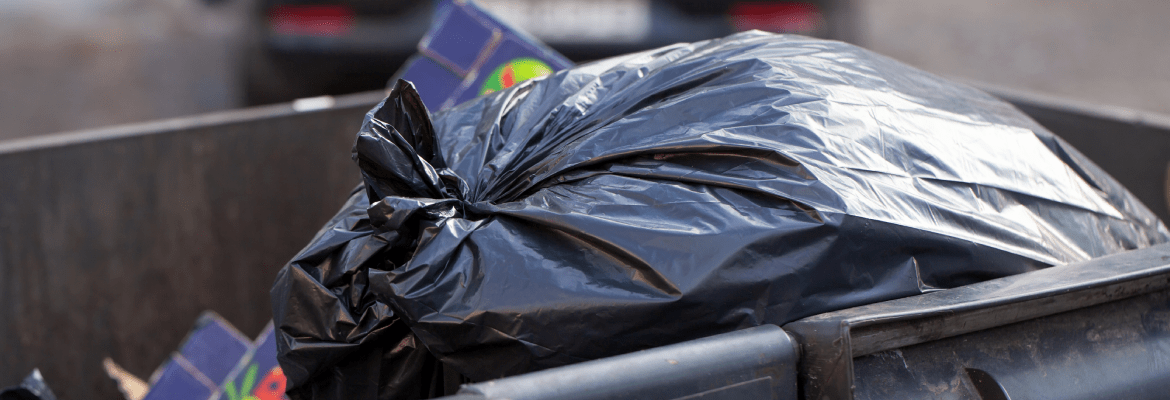 Mammoth Moving and More