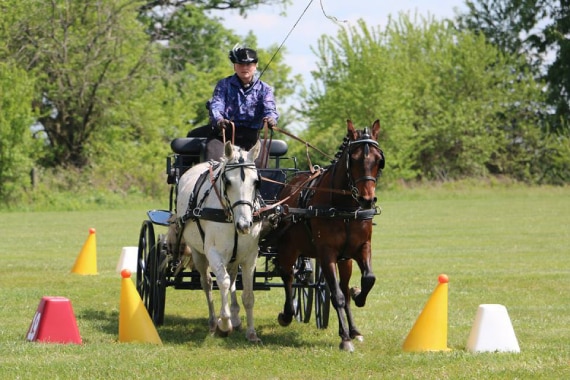 Skunk River Equestrian Center