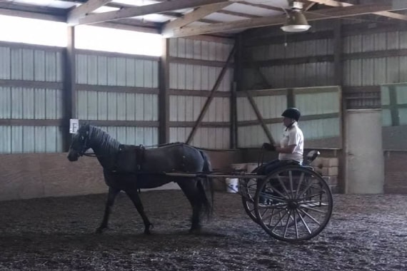 Skunk River Equestrian Center