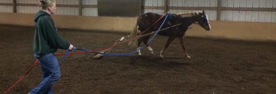 Skunk River Equestrian Center