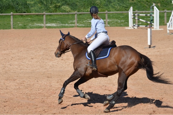Trabuco Creek Equestrian