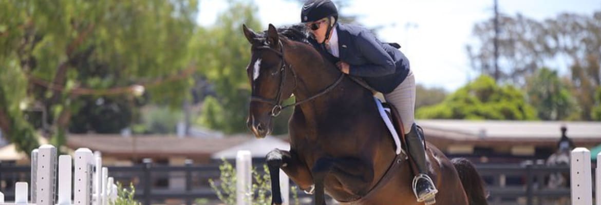 Trabuco Creek Equestrian