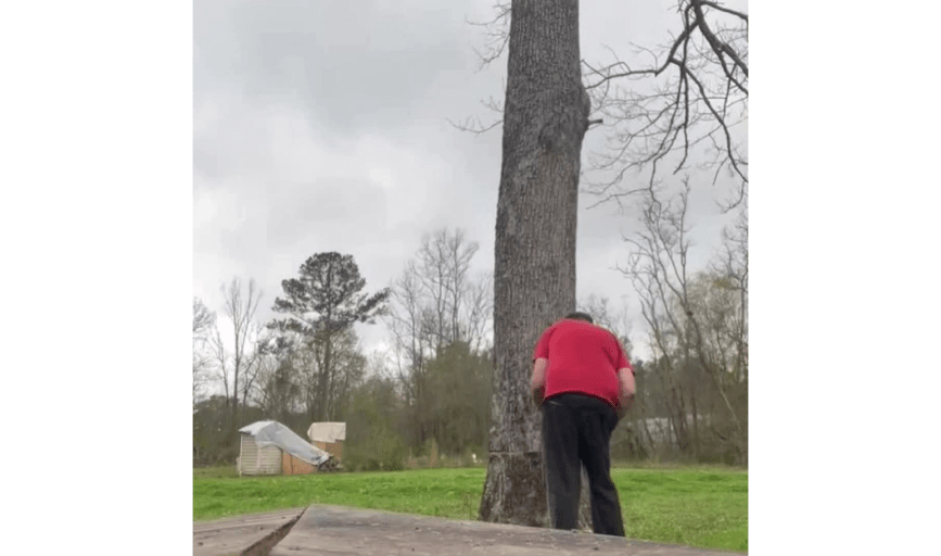 Reliable Solutions Landscaping and Handyman Services