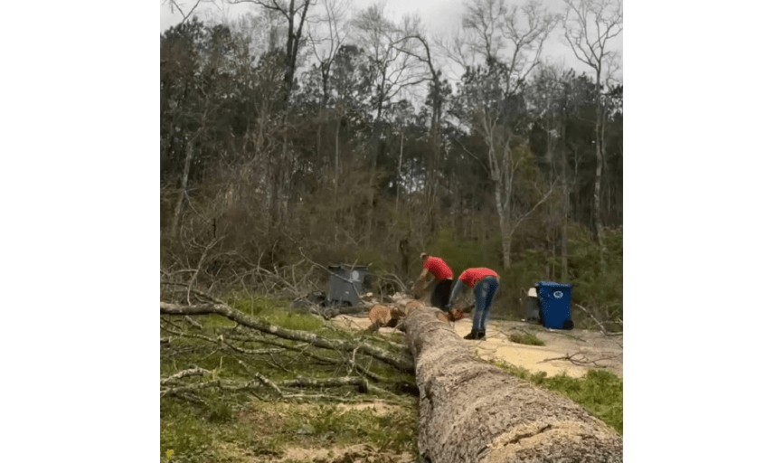 Reliable Solutions Landscaping and Handyman Services