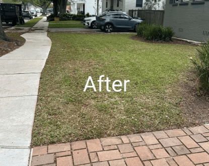 LAWN RENOVATION