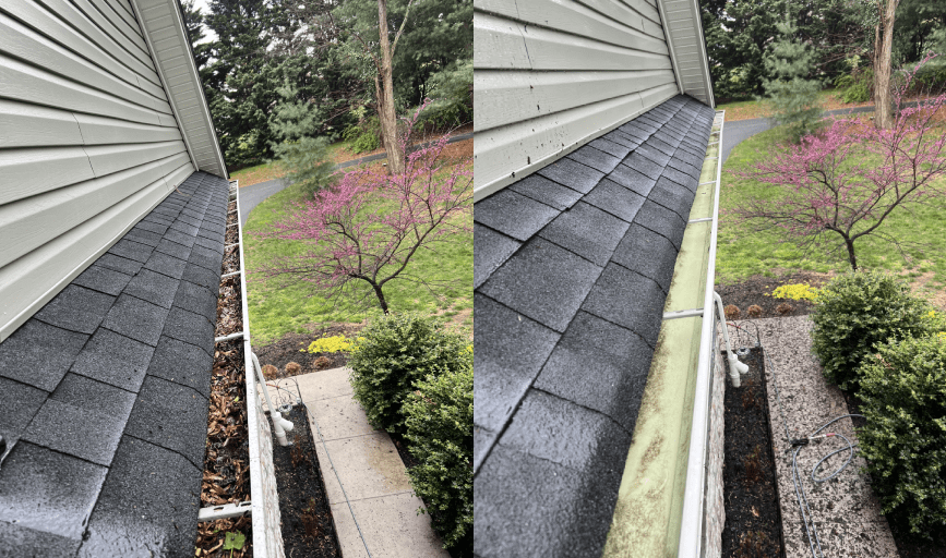 Rise Up Pressure Washing Pros 