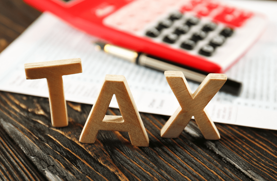 Blue Horizons Professional Services