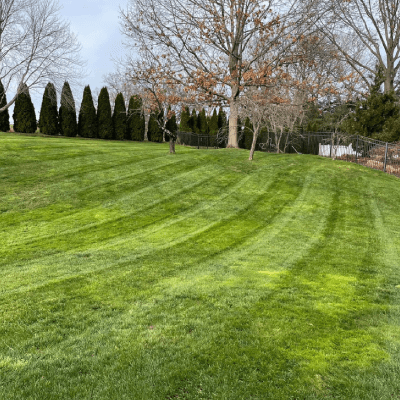 LAWN MAINTENANCE