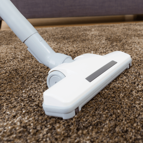 Carpet Cleaning