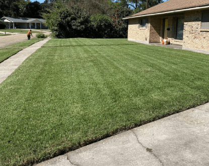 LAWN MAINTENANCE