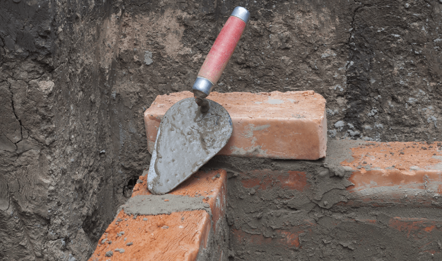 Swamp Grass Lawn and Maintenance